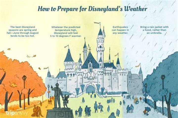 ディズニーランド 天気予報 2ヶ月｜関東の見通しと賢い準備法