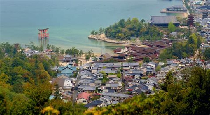 宜野湾市の野岳を歩く：暮らしの輪郭と地元の見どころ